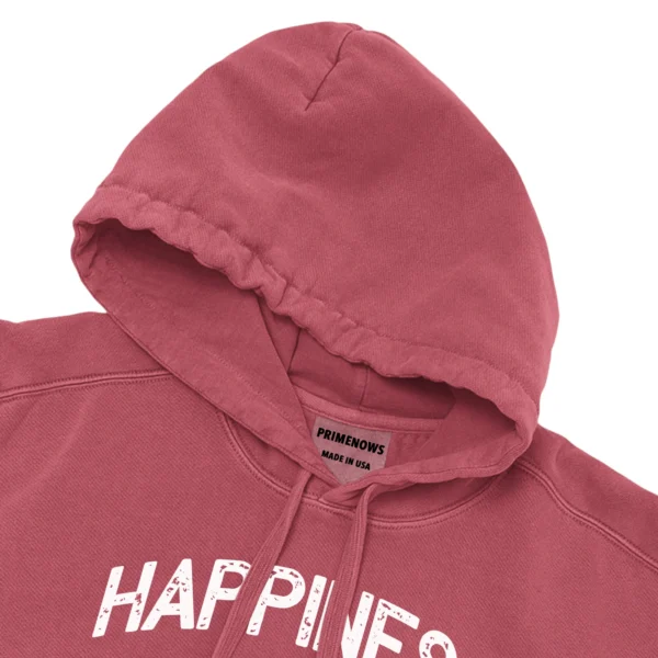 Happiness Is A Mini Horse Unisex Comfort Colors Hooded Sweatshirt