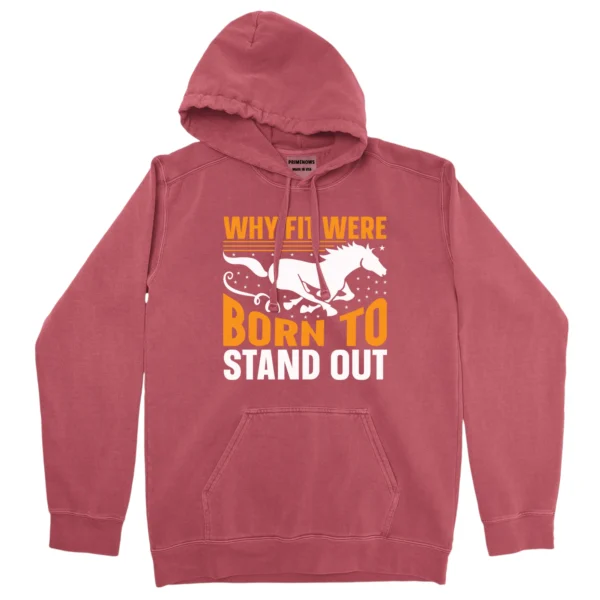 Why Fit Were Born To Stand Out Unisex Comfort Colors Hooded Sweatshirt